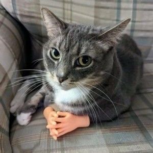 Meet your Posher, Mari